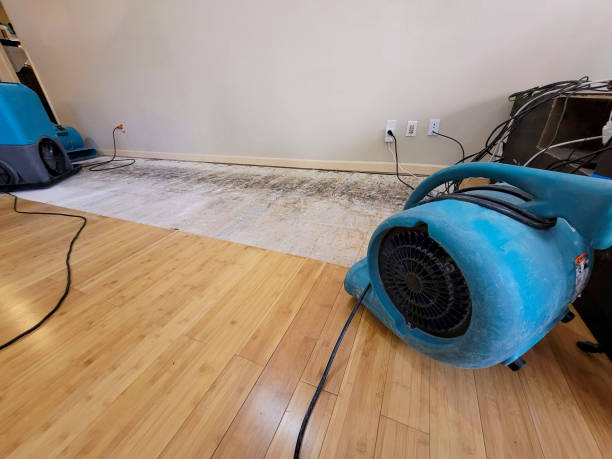 Professional Basement Flood Cleanup technician working in Orfordville, WI